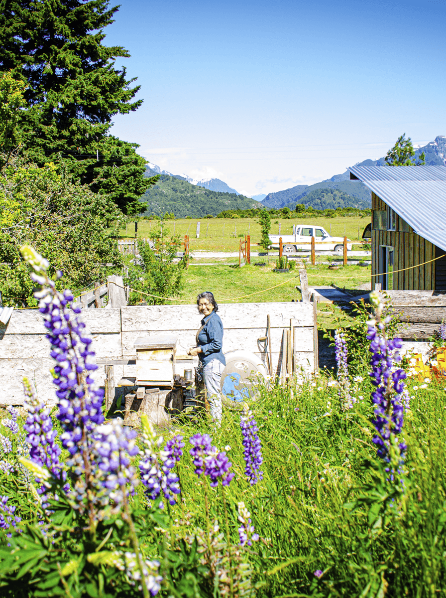 Cerveza10 https://cervezacatedral.cl/wp-content/uploads/2025/01/Cerveza10.png